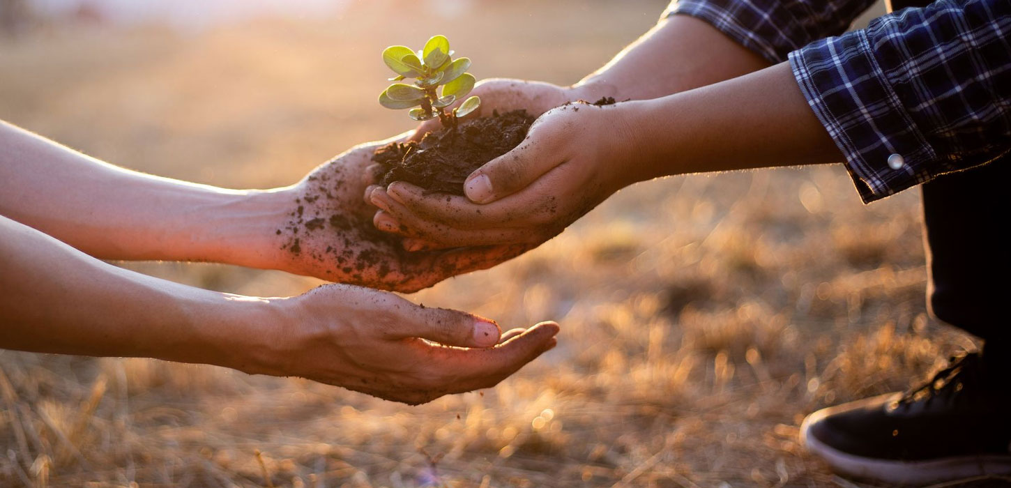 環境活動イメージ